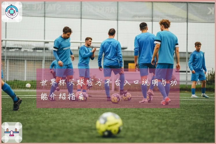 世界杯买球官方平台入口说明与功能介绍指南