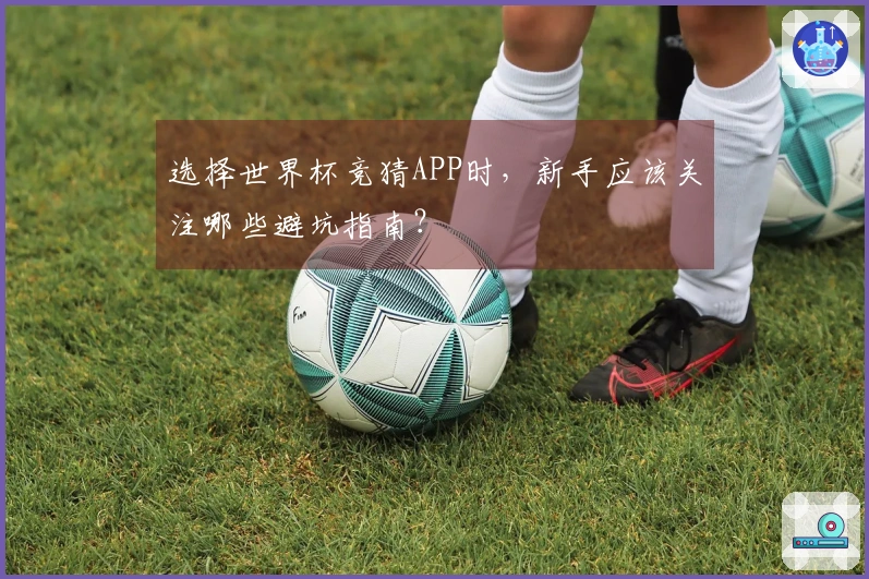 选择世界杯竞猜APP时，新手应该关注哪些避坑指南？