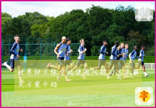 世界杯买球主站使用问题汇总及解决方案介绍