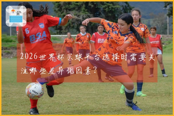 2026世界杯买球平台选择时需要关注哪些差异化因素？