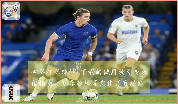 世界杯买球APP下载的使用场景与功能指南，助您轻松享受体育直播体验