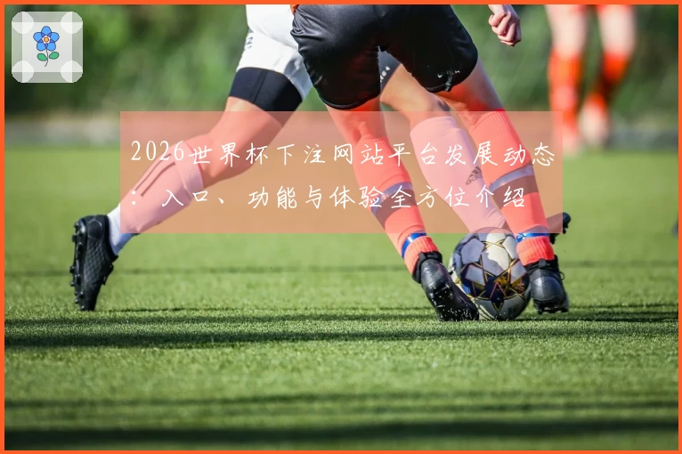 2026世界杯下注网站平台发展动态：入口、功能与体验全方位介绍