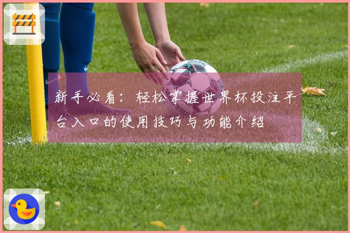 新手必看：轻松掌握世界杯投注平台入口的使用技巧与功能介绍
