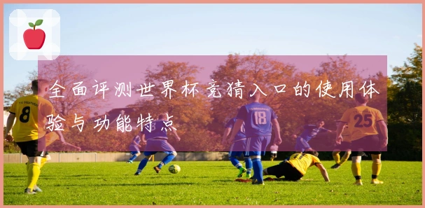 全面评测世界杯竞猜入口的使用体验与功能特点