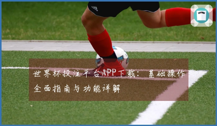 世界杯投注平台APP下载：基础操作全面指南与功能详解