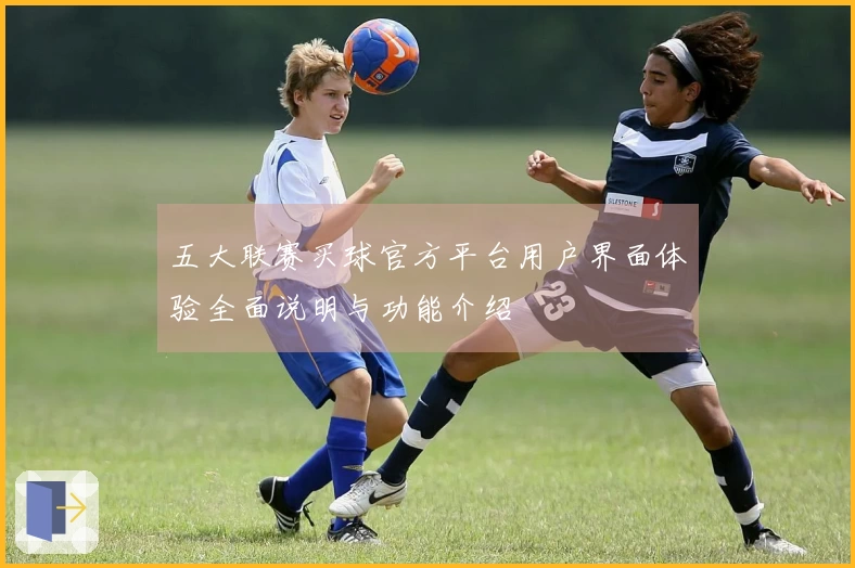 五大联赛买球官方平台用户界面体验全面说明与功能介绍