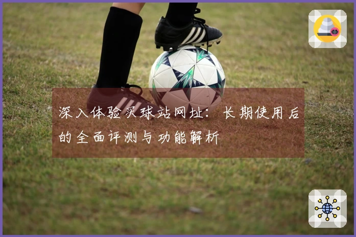 深入体验买球站网址：长期使用后的全面评测与功能解析