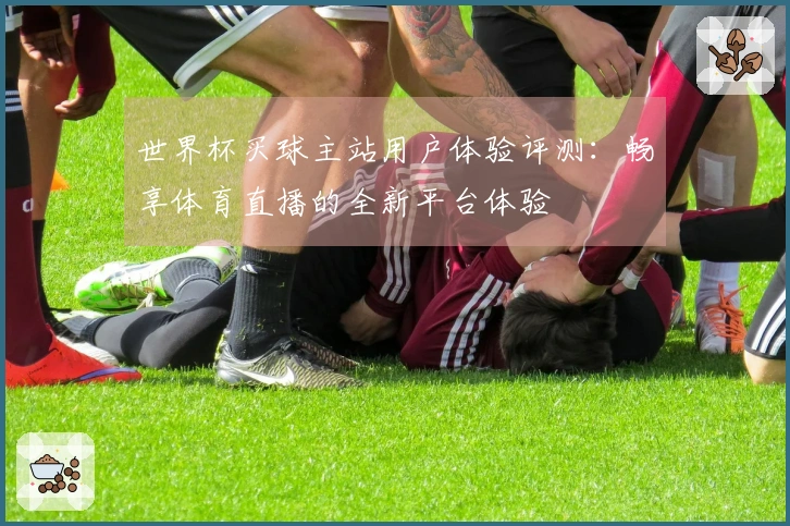 世界杯买球主站用户体验评测：畅享体育直播的全新平台体验
