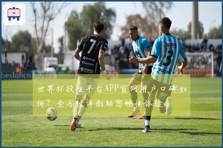 世界杯投注平台APP官网用户口碑如何？全方位评测助您畅快体验
