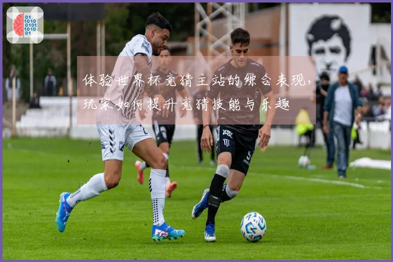 体验世界杯竞猜主站的综合表现，玩家如何提升竞猜技能与乐趣