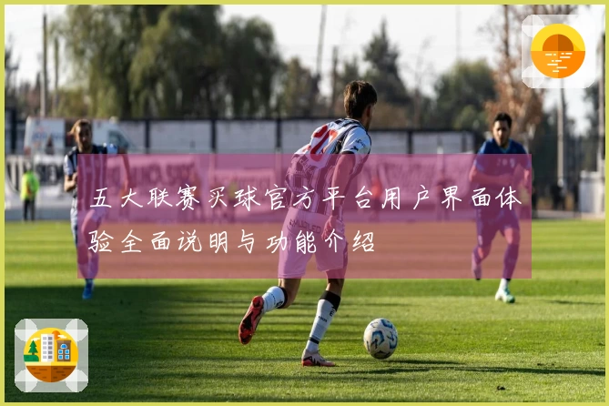 五大联赛买球官方平台用户界面体验全面说明与功能介绍