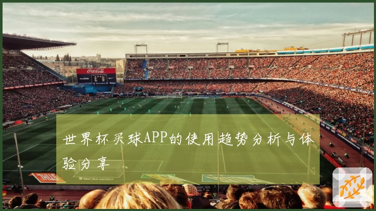 世界杯买球APP的使用趋势分析与体验分享