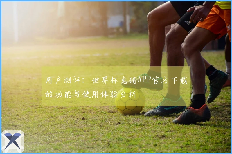 用户测评：世界杯竞猜APP官方下载的功能与使用体验分析